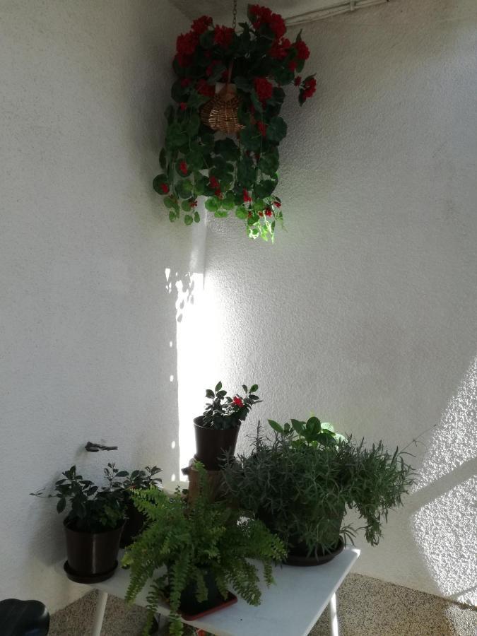 Apartments Culav Makarska Dış mekan fotoğraf